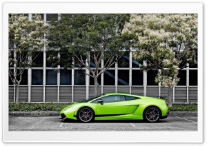 Green Lamborghini Gallardo...