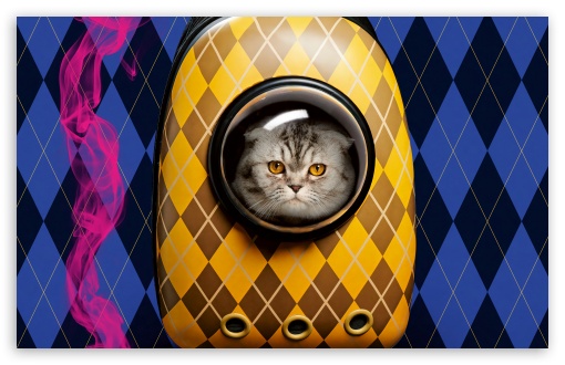 Download Argylle Alfie Cat UltraHD Wallpaper