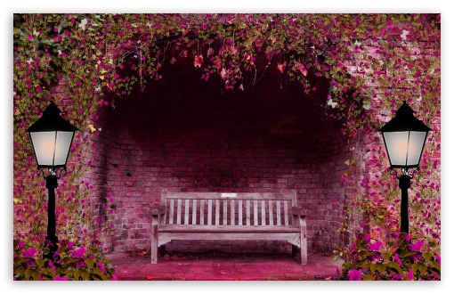Download Romantic Bench UltraHD Wallpaper