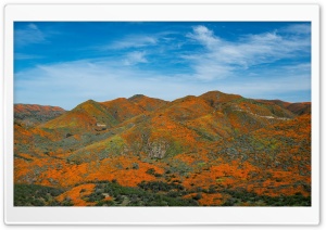 Antelope Valley California...