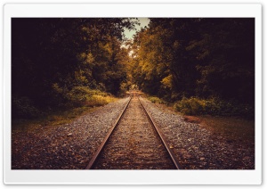 Railroad Tracks Perspective