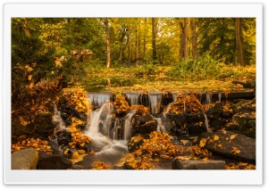 Fall, Foliage, Creek, Waterfall