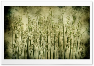 Lily Of The Valley Vintage...