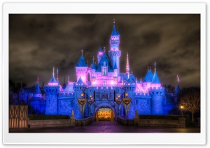 Sleeping Beauty Castle