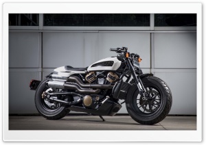 2020 Harley-Davidson...