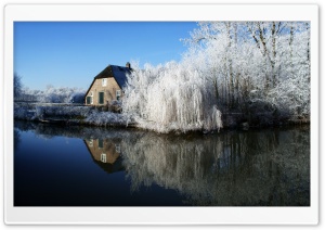 Farmhouse And Frosty Trees