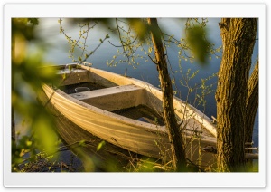 Boat, Lake Shore, Nature