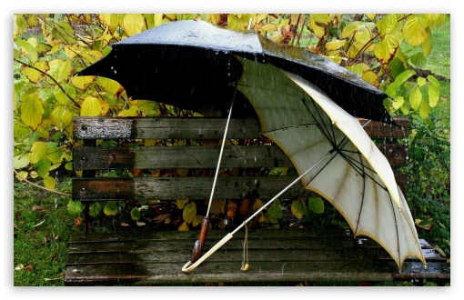 Download Umbrellas On The Bench UltraHD Wallpaper