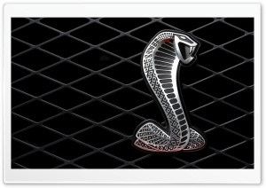 2007 Ford Shelby GT500 Logo