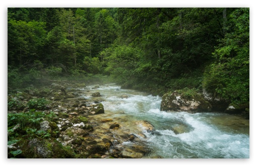 Download Kamniska Bistrica Alpine River in Slovenia UltraHD Wallpaper