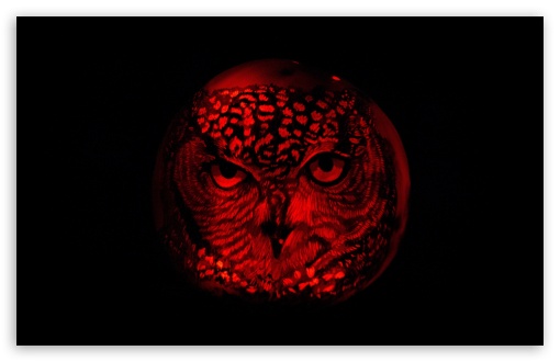 Download Owl Pumpkin Carving UltraHD Wallpaper