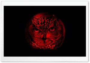 Owl Pumpkin Carving