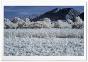 Infrared Landscape Photography