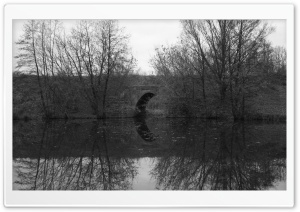 Bridge Reflection in Water
