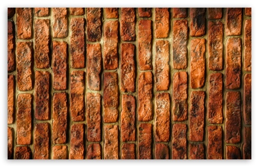 Download Wall Bricks UltraHD Wallpaper