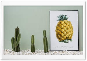 Cactus and Pineapple