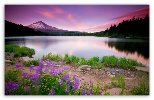 Download Mountain Lake And Flowers UltraHD Wallpaper