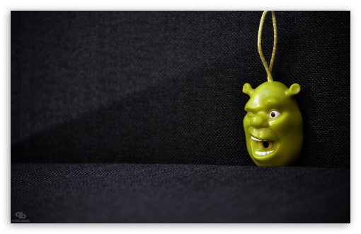 Download Shrek Key Holder UltraHD Wallpaper