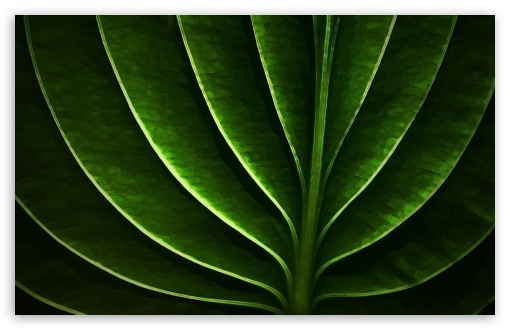 Download Leaf-Neon UltraHD Wallpaper