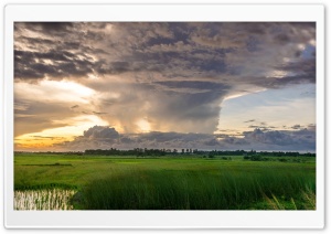 Storm Clouds Gathering