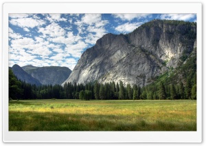 Yosemite Natural Park