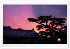 Twilight Over The Museum