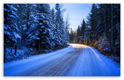 Download Winter Road Day Light UltraHD Wallpaper