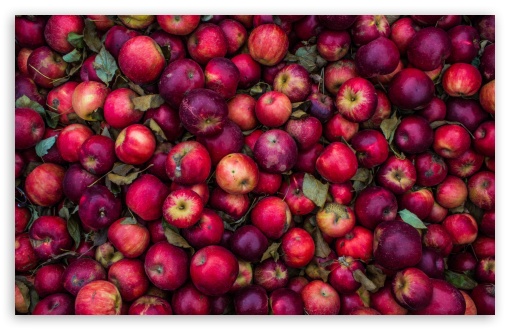 Download Red Apples UltraHD Wallpaper