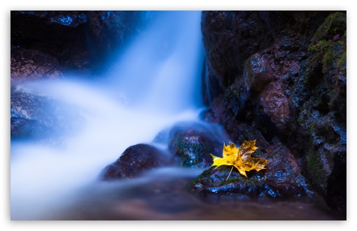 Download Yellow Autumn Maple Leaf, Waterfall UltraHD Wallpaper