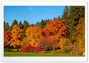 Autumn Colors