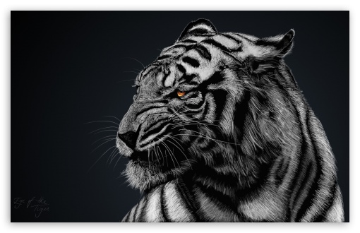 Download Tiger UltraHD Wallpaper