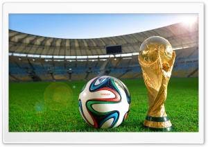 20th FIFA World Cup