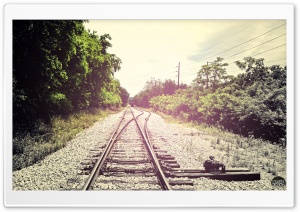 Summer Rail Road