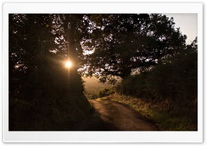 Morning, Autumn Sunshine, Road