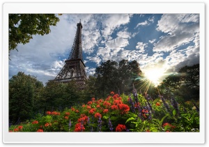 Park View Of Eiffel Tower