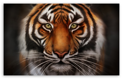 Download Save The Tiger UltraHD Wallpaper