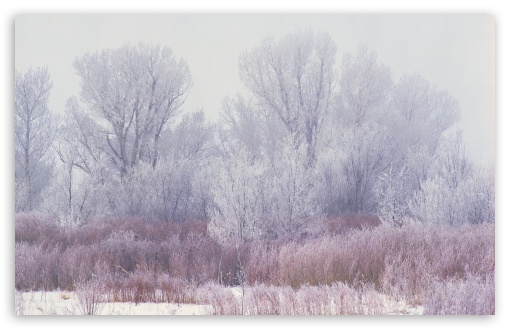 Download Winter Scenes 16 UltraHD Wallpaper