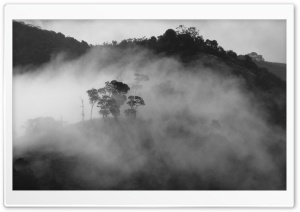 Foggy Black And White Landscapes