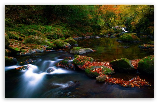 Download Autumn Forest River UltraHD