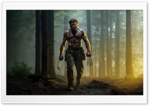 Wolverine, Forest, Trees