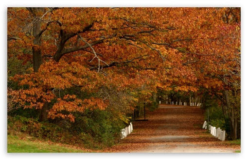 Download Autumn Scenes 19 UltraHD Wallpaper