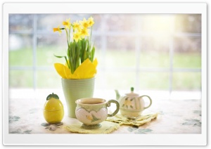 Cup of Tea, Daffodils...