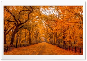 Beautiful Autumn Landscapes...