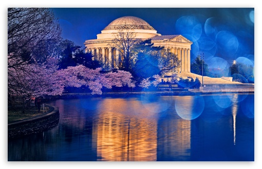 Download Thomas Jefferson Memorial Cherry Blossom UltraHD Wallpaper