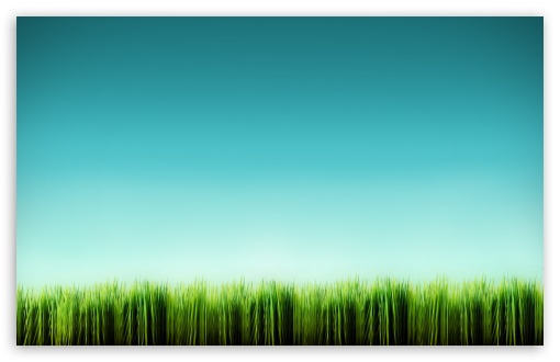 Download Grass Blades UltraHD Wallpaper