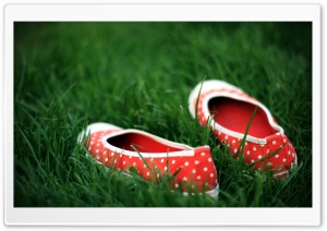 Red Shoes In Green Grass