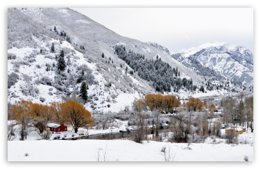 Download Beautiful Winter Scenery UltraHD Wallpaper