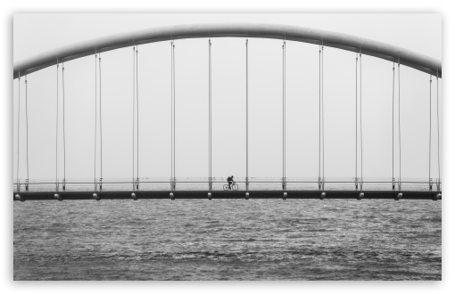Download Humber Bay Arch Bridge Black and White UltraHD Wallpaper