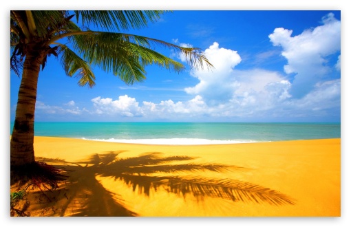 Download Golden Beach UltraHD Wallpaper