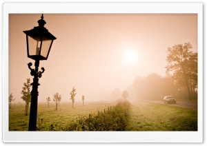 Lonely Lantern In The Fog